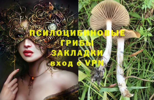 таблы Михайлов