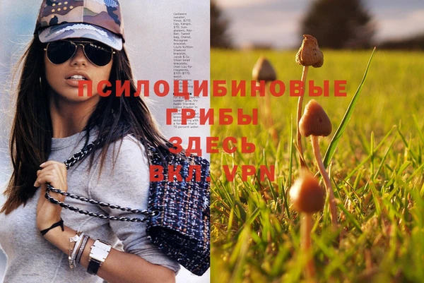 гидра Медногорск