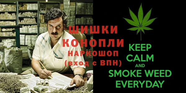 гидра Медногорск