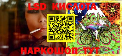 СК Будённовск