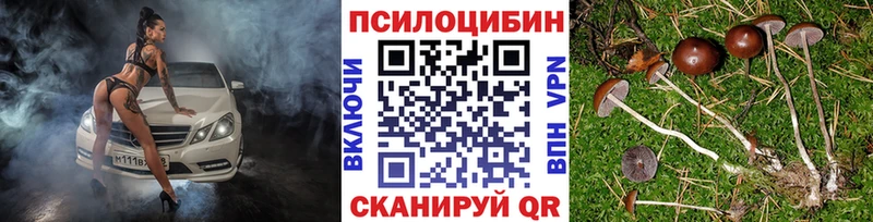 mega ССЫЛКА  Саранск  Галлюциногенные грибы MAGIC MUSHROOMS  как найти  