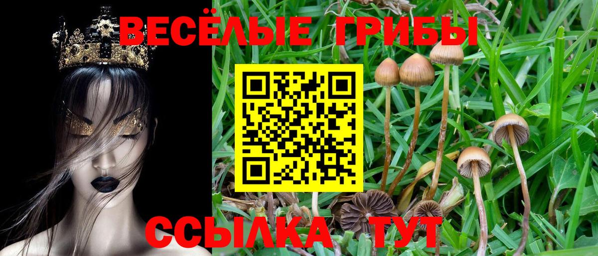 Псилоцибиновые грибы прущие грибы Саранск