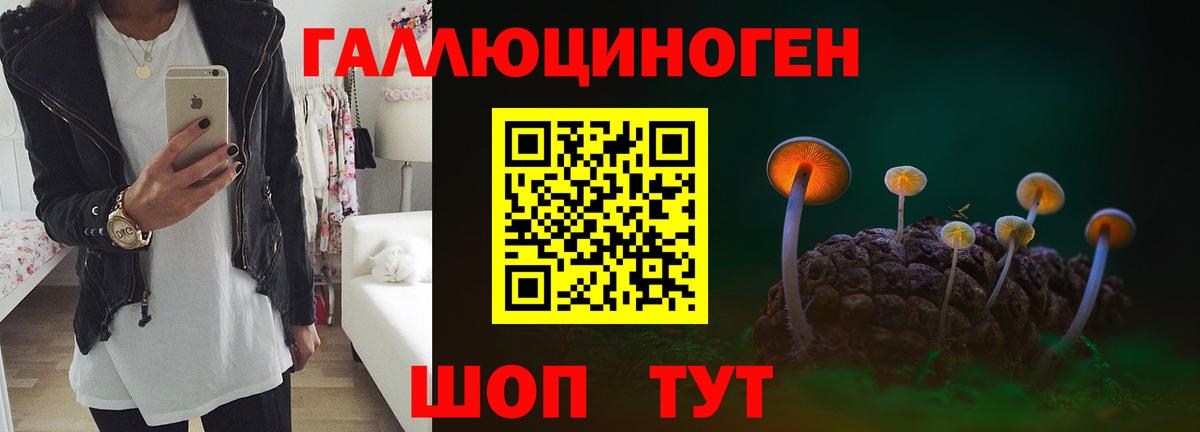 Галлюциногенные грибы мухоморы  Вход с VPN  Саранск  Галлюциногенные грибы Cubensis 